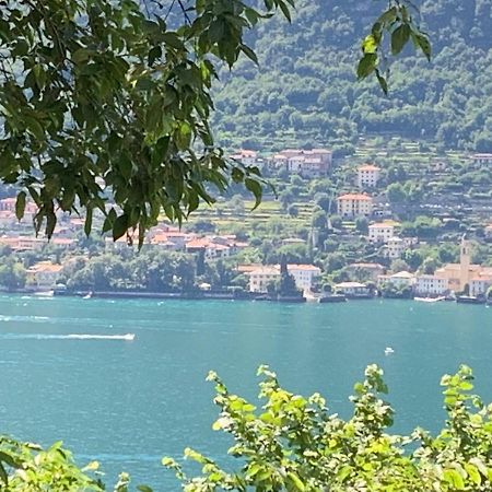 Apartment Casa Dono Il Lago Pognana Lario Eksteriør billede