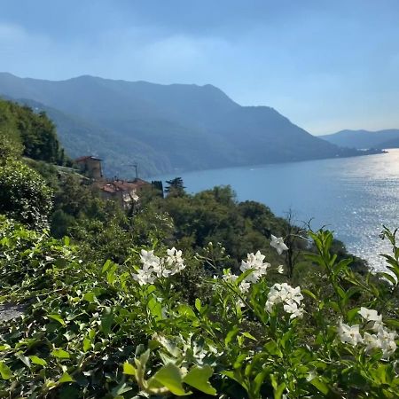 Apartment Casa Dono Il Lago Pognana Lario Eksteriør billede