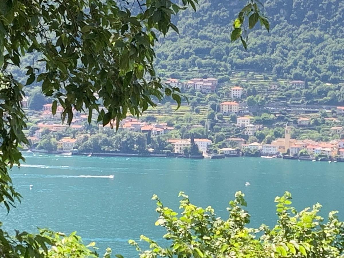 Apartment Casa Dono Il Lago Pognana Lario Eksteriør billede