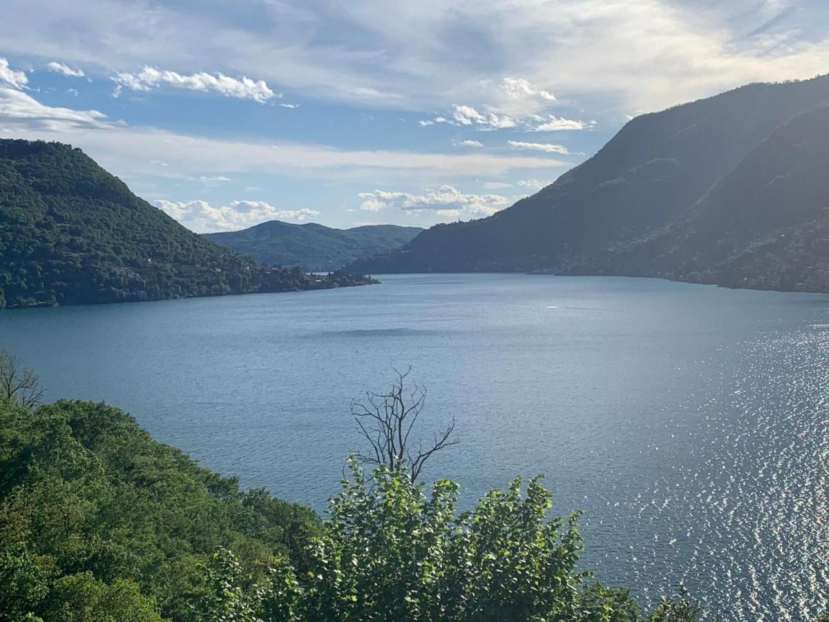 Apartment Casa Dono Il Lago Pognana Lario Eksteriør billede