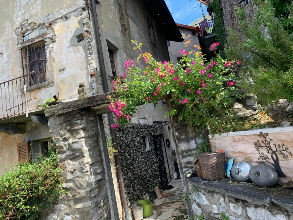 Apartment Casa Dono Il Lago Pognana Lario Eksteriør billede