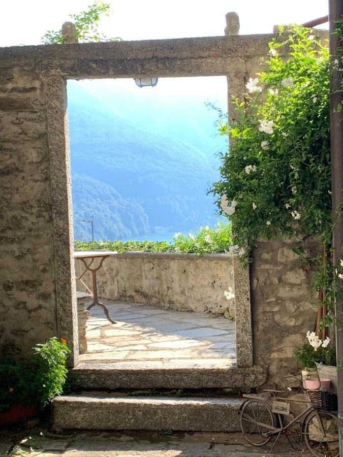 Apartment Casa Dono Il Lago Pognana Lario Eksteriør billede
