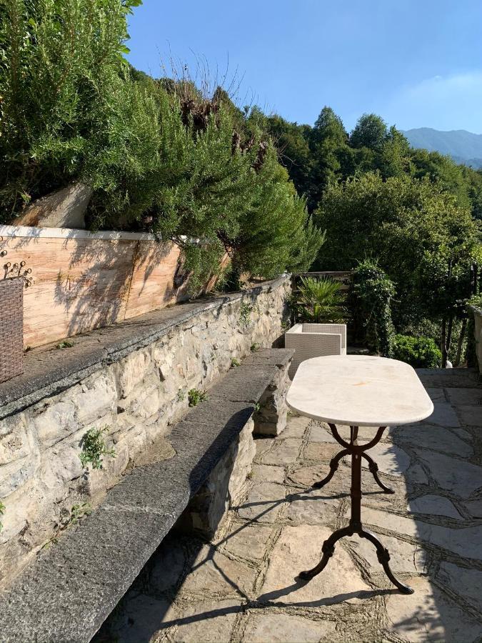 Apartment Casa Dono Il Lago Pognana Lario Eksteriør billede
