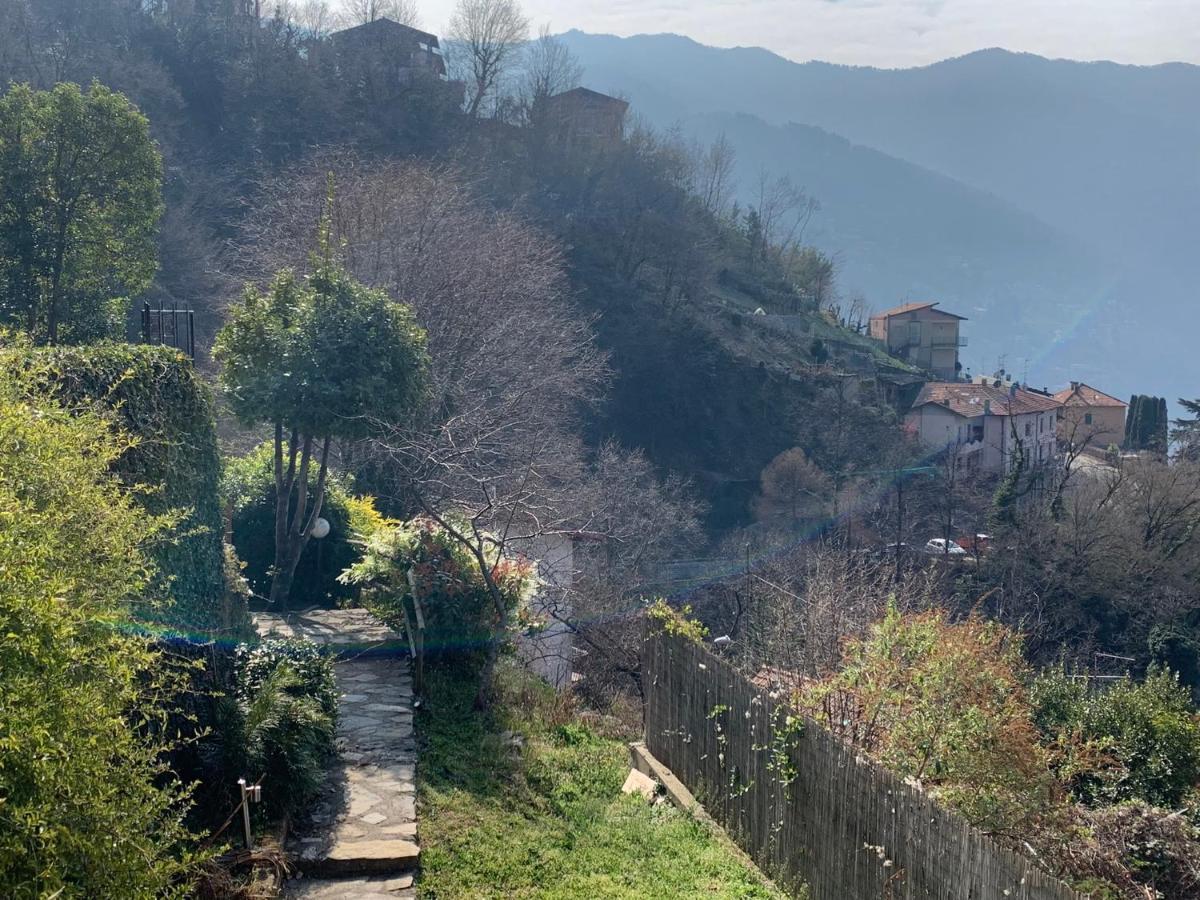 Apartment Casa Dono Il Lago Pognana Lario Eksteriør billede