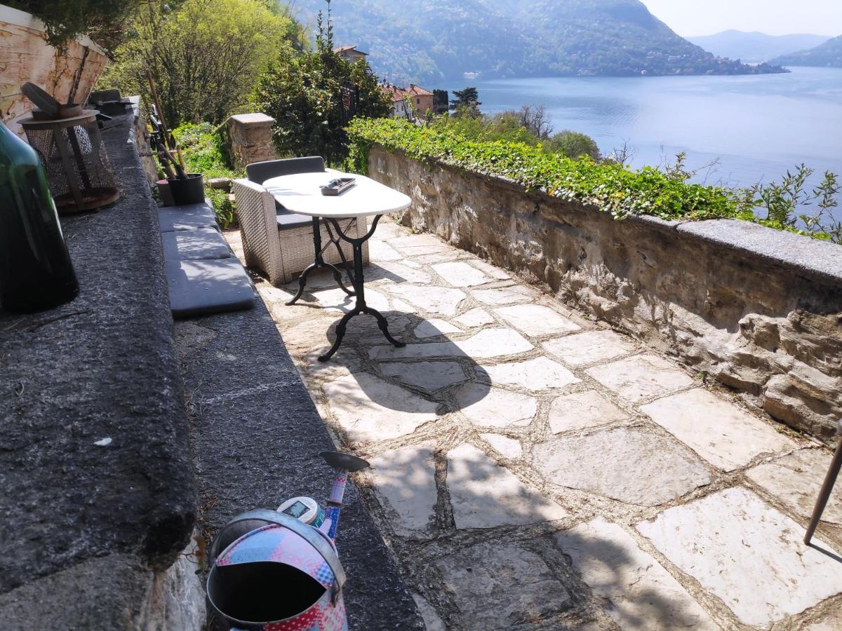 Apartment Casa Dono Il Lago Pognana Lario Eksteriør billede